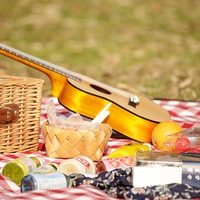 ���Ի���̨��No.22��Ұ��֮ʥ��ƪ