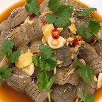 ��������Ϻ��Ϻ����ƤƤϺ��