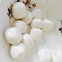 ������������5��6�����ֹ������Ӳ��Բ