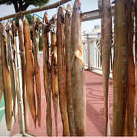 ��ʼ׼������� ����ɹ����� ����ɹ�㳦