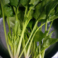 ���Ի���̨��NO.22���������ӵ�����