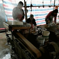 ������һ��ˮ��ȥ