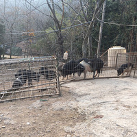 ��ؽ�������ô������������