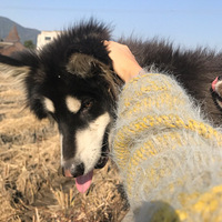 �����2�������ڼ���5�