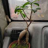 ����ע�⣺���˵�ϲ��