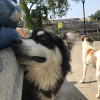 ����2�� �������ĵľͺ�