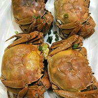 �Ի������磬����û����Ϊ���롢������ֹͣ���Ų�