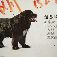 Ŧ����Ȯ-����Ȯ��ϲ�������ѽ�������