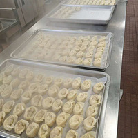 ����ϵ��2