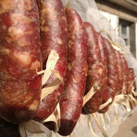 ɹ�㺣������������