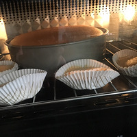 ���ҵ���