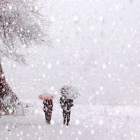 ���������������ô��