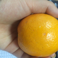 �ֻ���һ�ѳ�����Ƭ��