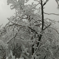 һ�𵽰�ͷ�����أ�