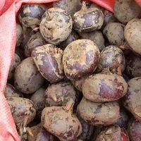 Ժ�����㿪������Ҫ�Ŀ�����ϵ��