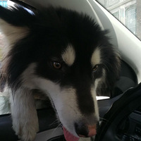 �����飬���ź����ǳ�����