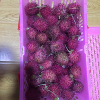 ����ˮ��