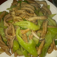 ��ҹ����ʼ