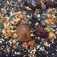 �����һ������