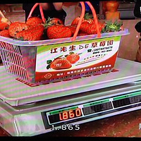 Լ���İ������������ٺ�һ���Σ�����ժ��ݮ