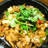 ���Ի���̨�ݡ�����Ȧ��ʳ���� �����