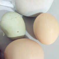 ���Ի���̨�ݡ�+ һ�����;�����ʳ