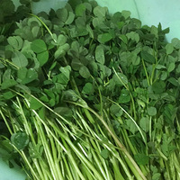 ���ǳ�Ԫ�����ҳԻ��ݳ����