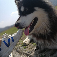 Ըʱ������ߵ������롣