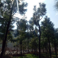 �Ի���̨��