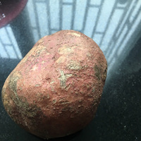 ���ƿ�������С������Ժ������ڼ�Ҳ���Գ���