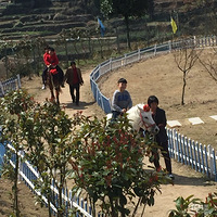 ����һ���ˣ��ѵÿ��У��������ã���ȥ����