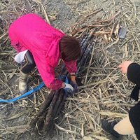 ���� ���� ���� �Ը���ļ���