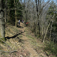 ǧ��������