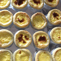 �Ҿ��ã���Ӧ�üӵ��롣����ҹ�Ŷ�