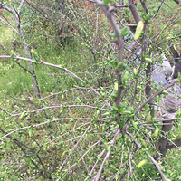 �Թ�����