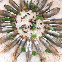 �������ӡ�ը�ɰ���