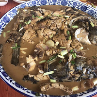 ���Ի���̨��NO.24�����ڳ�̶��ͷ��