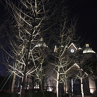 ����ʤ�ա�