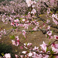 ���治֪�δ�ȥ