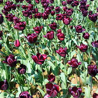 �������Ǹ��ٻ���