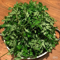 ���Ի���̨��NO.24���������� �����ŵ�����Ŷ