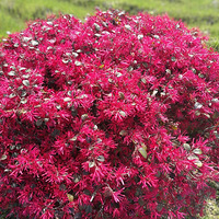 ������ô�ó�ȥ�ˡ�