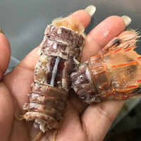 ���Ի���̨��NO.24����ɽϺ����-����