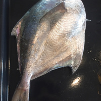 ȥ���������г����˵㺣�ʣ����ʵ��ʶ����