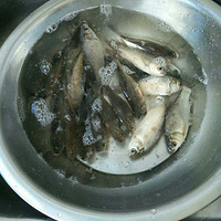 �Ǵ�������