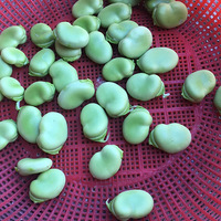 ����ѿ�ʵĺܣ���ժ�ְ����ֳ�