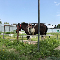 �����������տ�