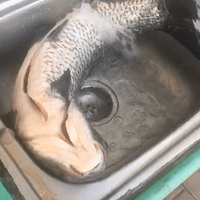 ���Ի���̨��NO.24��+�������