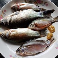 ���Ի���̨��NO.24��������