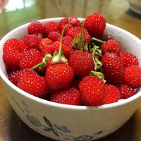 ��һ�ô���ȥ���ˣ�ժ������